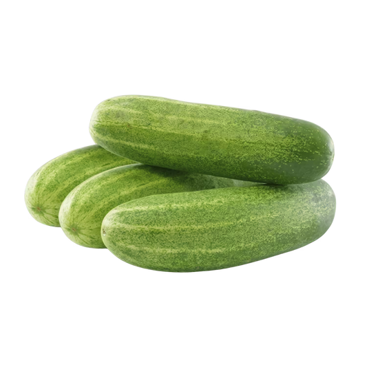 Cucumber Kheera
