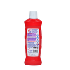 Bathroom Cleaner Harpic Floral Bloom