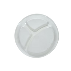 Disposable Lunch Plates