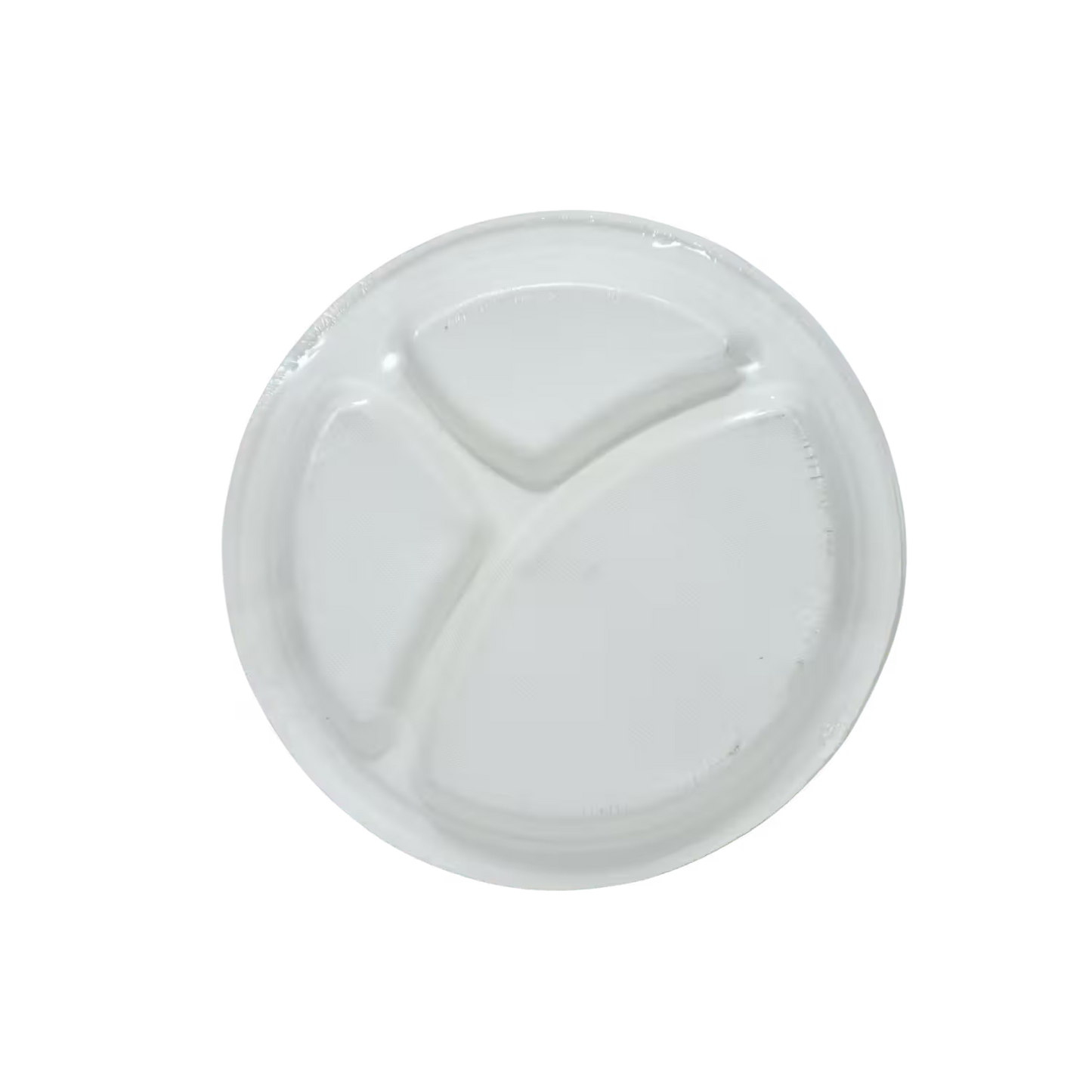 Disposable Lunch Plates
