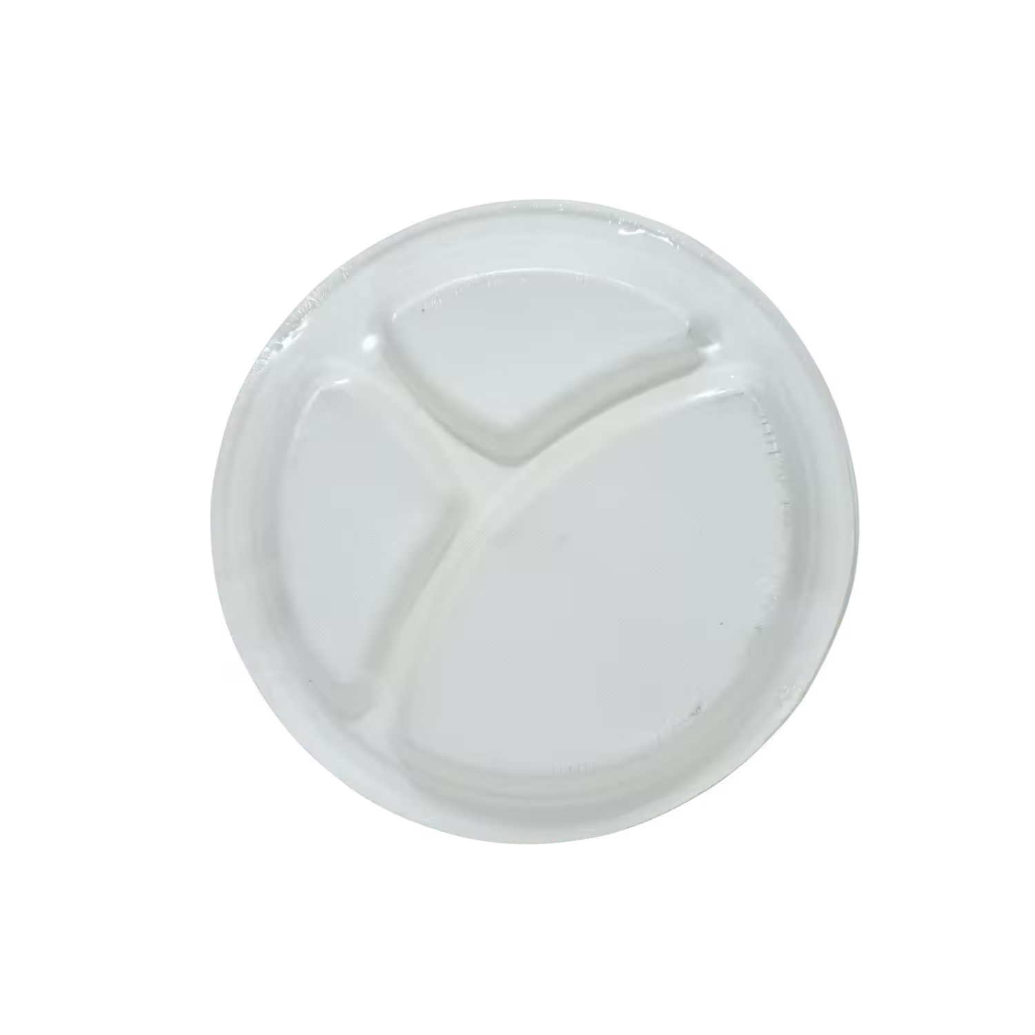 Disposable Lunch Plates