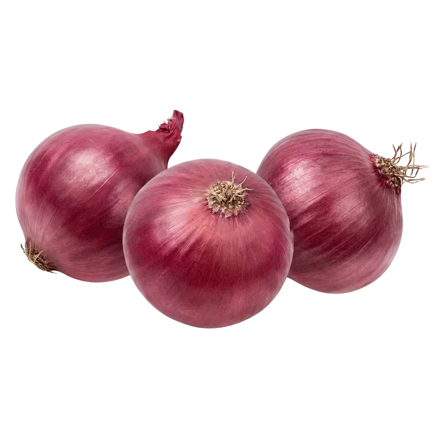 Onion