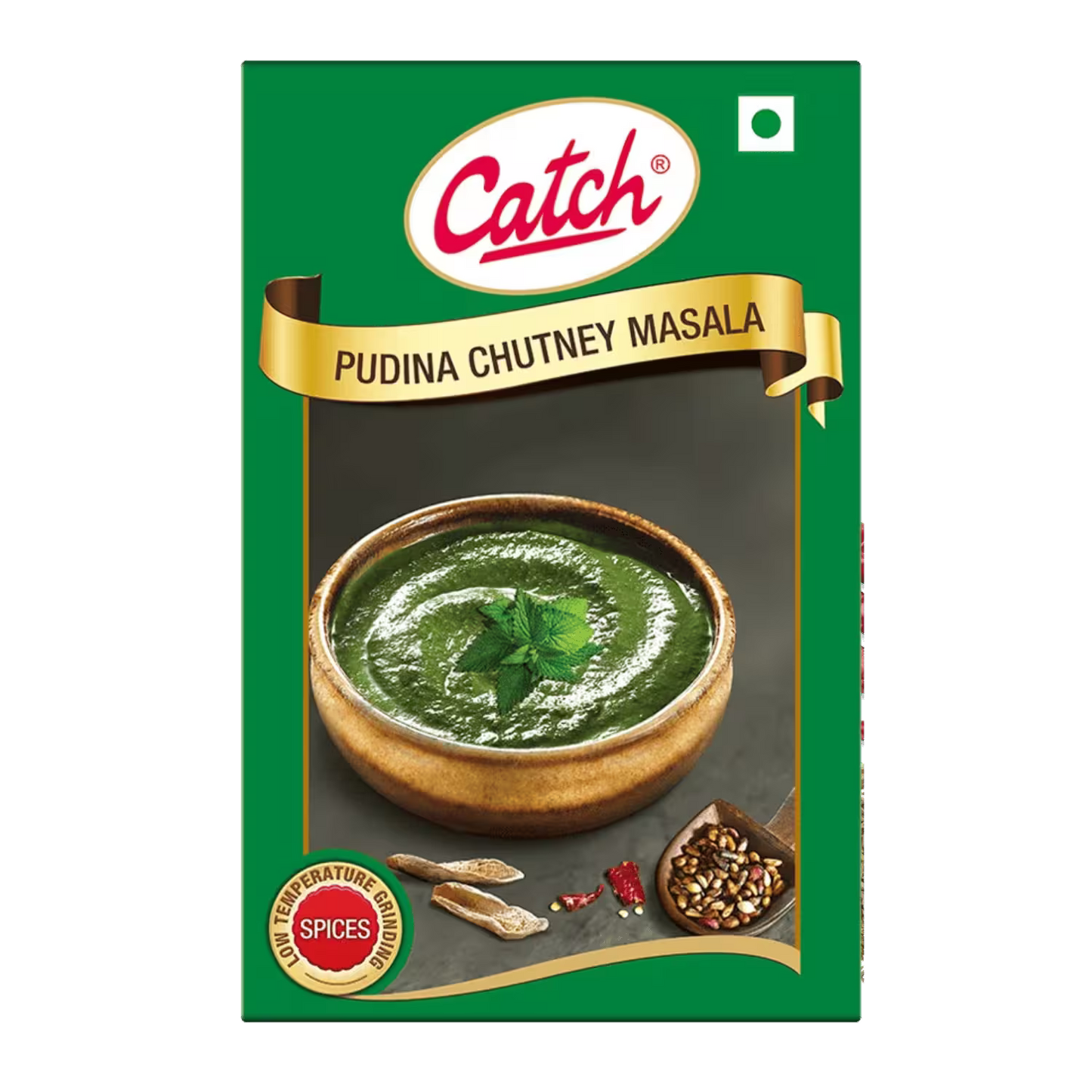 Pudina Chutney Masala Catch