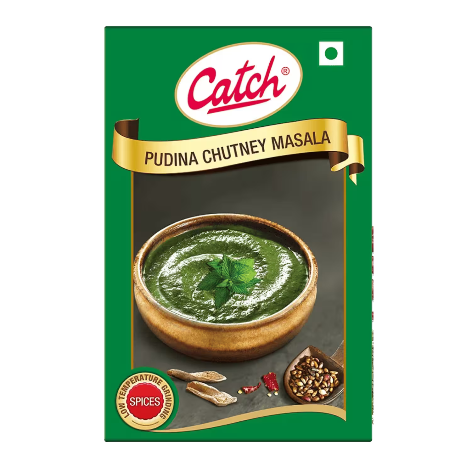 Pudina Chutney Masala Catch