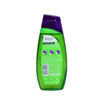 Shower Gel Green Tea and Coriander Joy